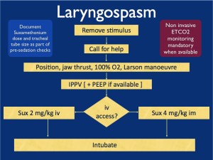 Larygospasm_flow_high_res